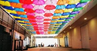 Luce espectacular; renueva Playa del Carmen su acceso a la costa de Pelícanos