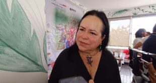 Más de mil argentinos solicitaron permiso de residencia en Playa del Carmen en los últimos meses, revelan