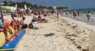 Nutrida afluencia; hasta 12 mil bañistas se dejan ver en Playa del Carmen