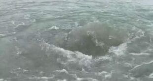 "Ojos de agua" podrían ser un nuevo atractivo turístico de Playa del Carmen