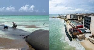 Piden ambientalistas que se retiren los geotubos del hotel Hyatt en Playa del Carmen