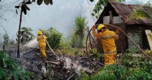 Playa del Carmen cierra la temporada de incendios forestales 2025 con 914 incidentes atendidos