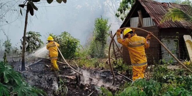 Playa del Carmen cierra la temporada de incendios forestales 2025 con 914 incidentes atendidos