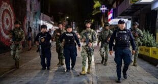 Playa del Carmen registra más de 130 detenciones y más de 100 kilos de droga asegurada durante nueva etapa en seguridad