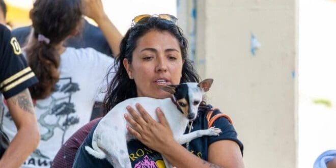 Refuerza Estefanía Mercado el bienestar animal en Playa del Carmen