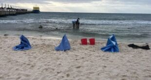 Retiran autoridades a argentinos que realizaban crioterapia en Playa del Carmen sin permisos