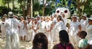 Se cumplen 16 años de la creación del parque La Ceiba de Playa del Carmen