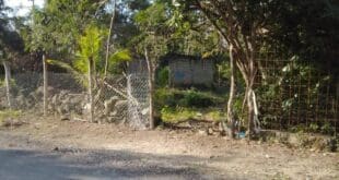 Solidaridad, segundo municipio con más invasiones en Quintana Roo