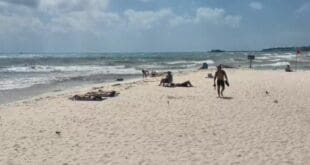 Surada le pegó fuerte a los náuticos de Playa del Carmen; no ha habido ganancias
