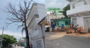 Talan ceiba en Playa del Carmen, por poner en riesgo una vivienda