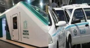 Taxistas de Playa del Carmen negocian para poder operar en la terminal del Tren Maya