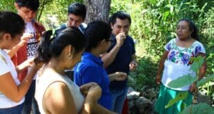 Universitarios y egresados defenderán las carreras que busca cerrar el rector de la Uqroo