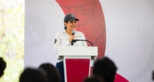 ¡Es falsa la tala de mangle en Playa Mamitas! Estefanía Mercado confirma que no hay licencia de construcción en la zona
