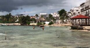 ​​Playa del Carmen estará libre de sargazo en 2023; habrá doble maquinaria para limpiar: Zofemat